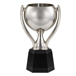 2007–2008 CONCACAF Champions’ Cup trophy