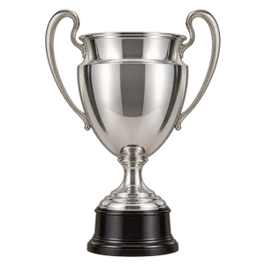 Czech Cup trophy, 2012–13 to 2014–15