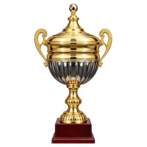 Coupe du Congo (2012)