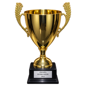 Supercup (2014)