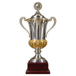Färöischer Supercup 2020