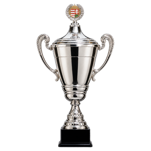 Magyar Szuperkupa trophy, 2015
