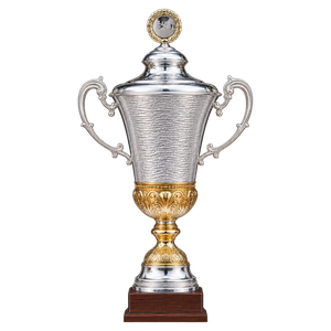 Icelandic Cup, documented since at least 2022