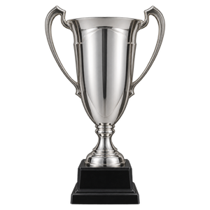 Kosovo Cup trophy, since 2017–18