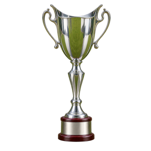 Litauischer Pokal