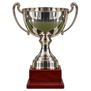 Litauischer Supercup