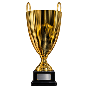 Coupe FLF trophy, 2025/26