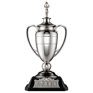 FA Trophy since 2017