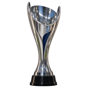 Cupa Moldovei
