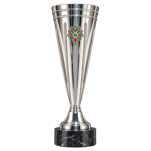 Coupe d’Excellence (2025)