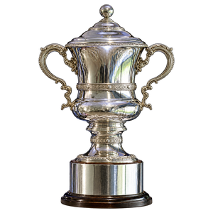 Irish Cup