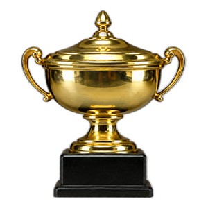 Puchar Ligi Polskiej trophy 2001–02