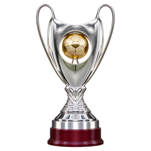 Supercupa României trophy since 2016