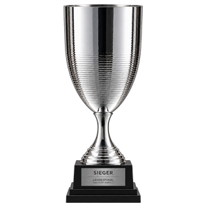 Saxony-Anhalt Cup