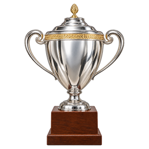 Saudi Super Cup (2014)