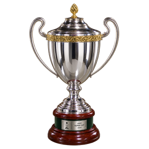 Saudi Super Cup (2015–2016)