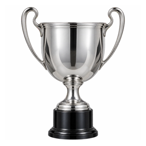 Slowenischer Supercup 2015