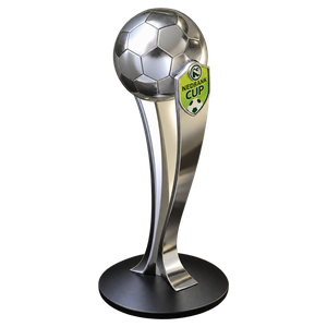 Nedbank Cup (2008)