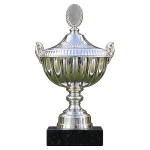 South West Cup