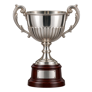 Torneo Intermedio trophy since 2017