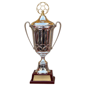 Coupe de Tunisie (2011–2015)