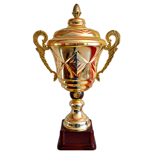 Coupe de la Ligue (2005)