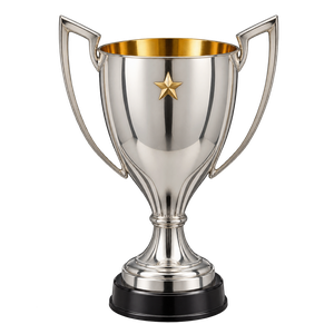 Süper Lig championship trophy 2010–11 to 2013–14