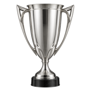 Türkiye Kupası trophy since 2024–25