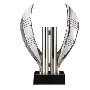 Brazilian championship trophy 1993–2013