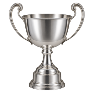 Czech championship trophy (1993–94 to 2011–12)