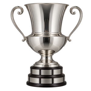 Czech championship trophy (since 2012–13)
