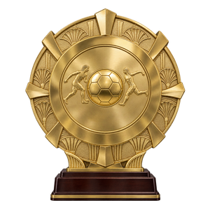 Egyptian championship shield 2016