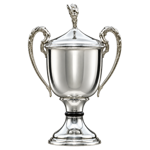 Hungarian championship trophy since 2013/14