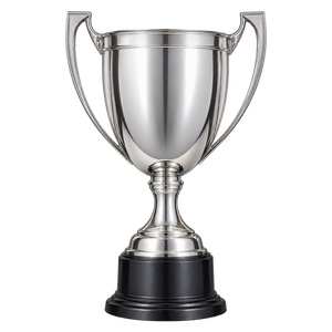New Zealand National League trophy since 2022