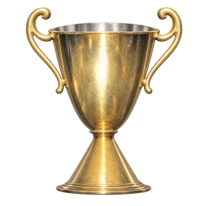Vierter Schweizer Meisterpokal 1976/77–1983/84