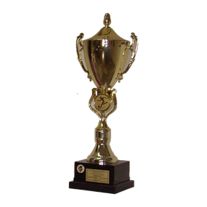 Bulgarian championship trophy, 1998–99