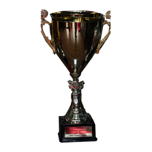 Bulgarischer Meisterpokal 2006/07